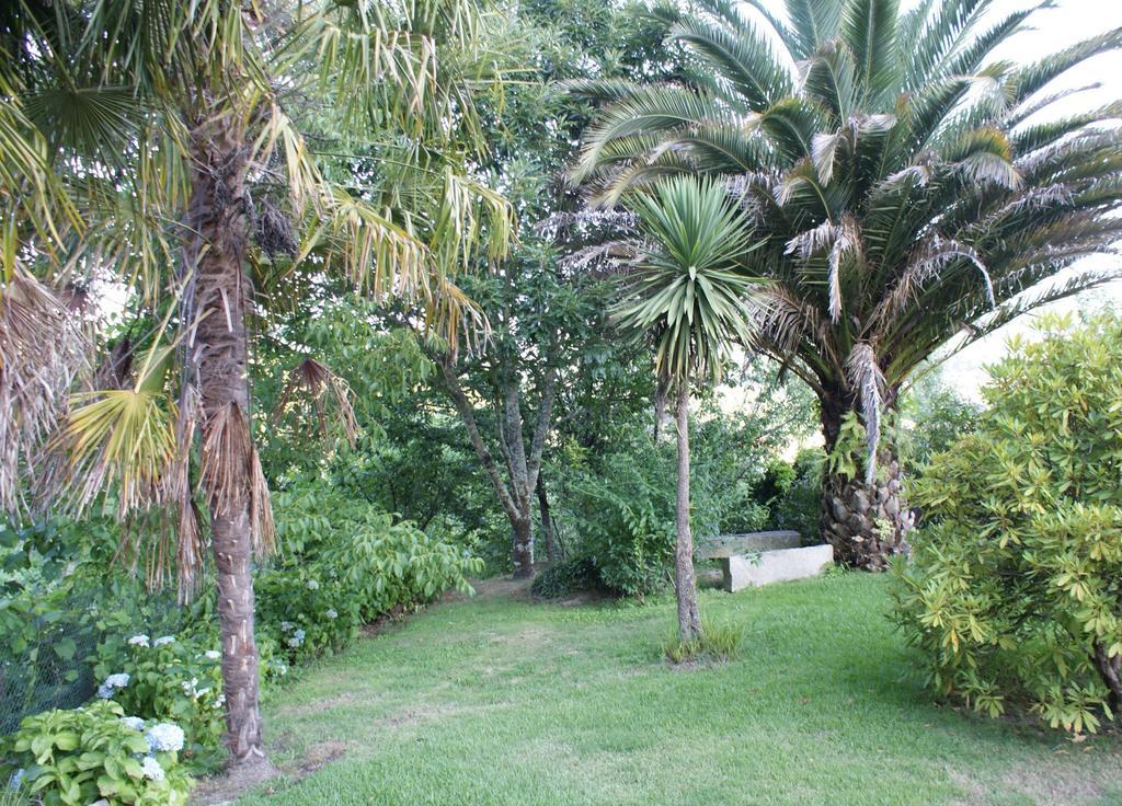 Quinta de Canhões São Pedro do Sul Exterior foto
