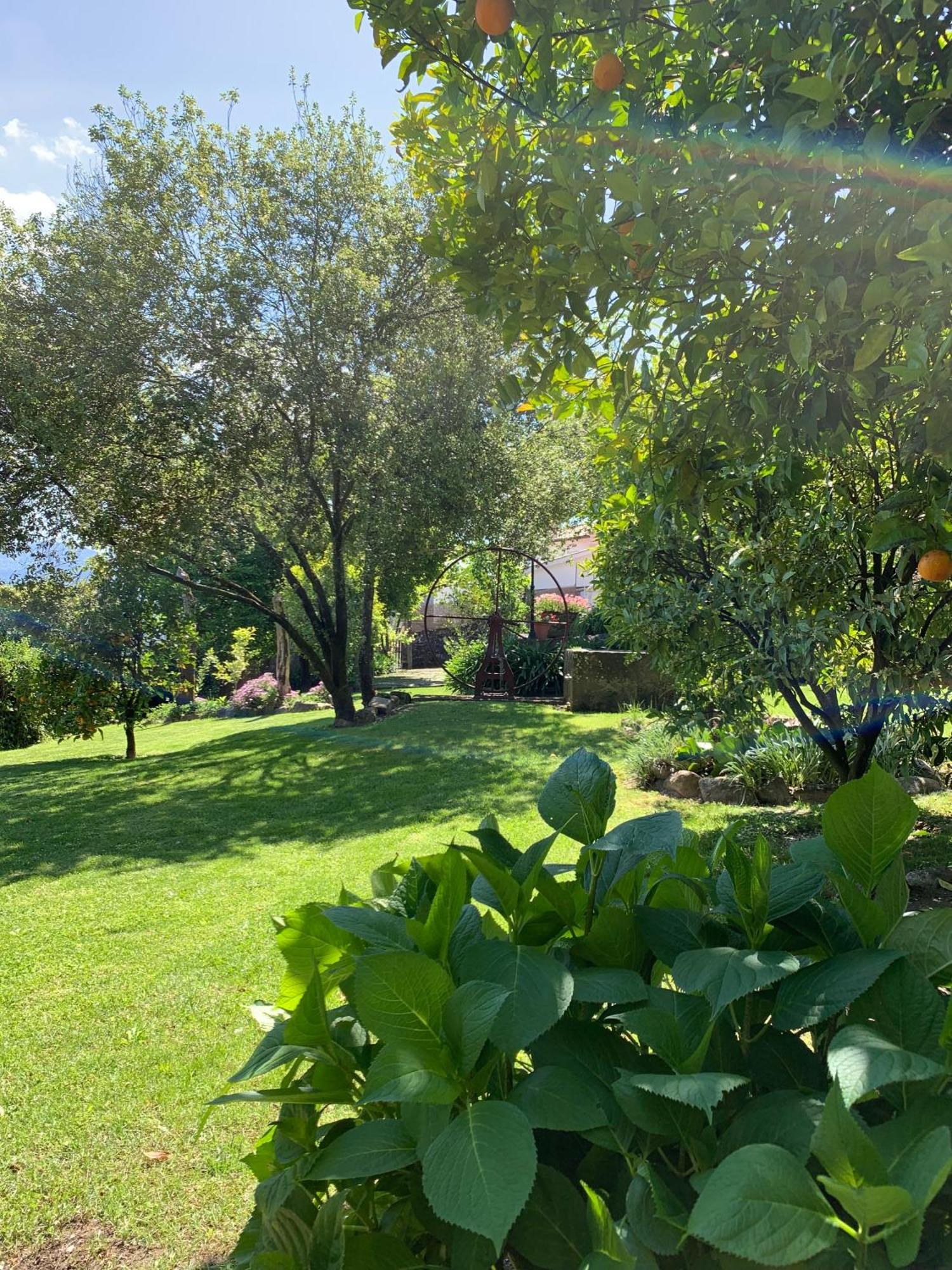 Quinta de Canhões São Pedro do Sul Exterior foto
