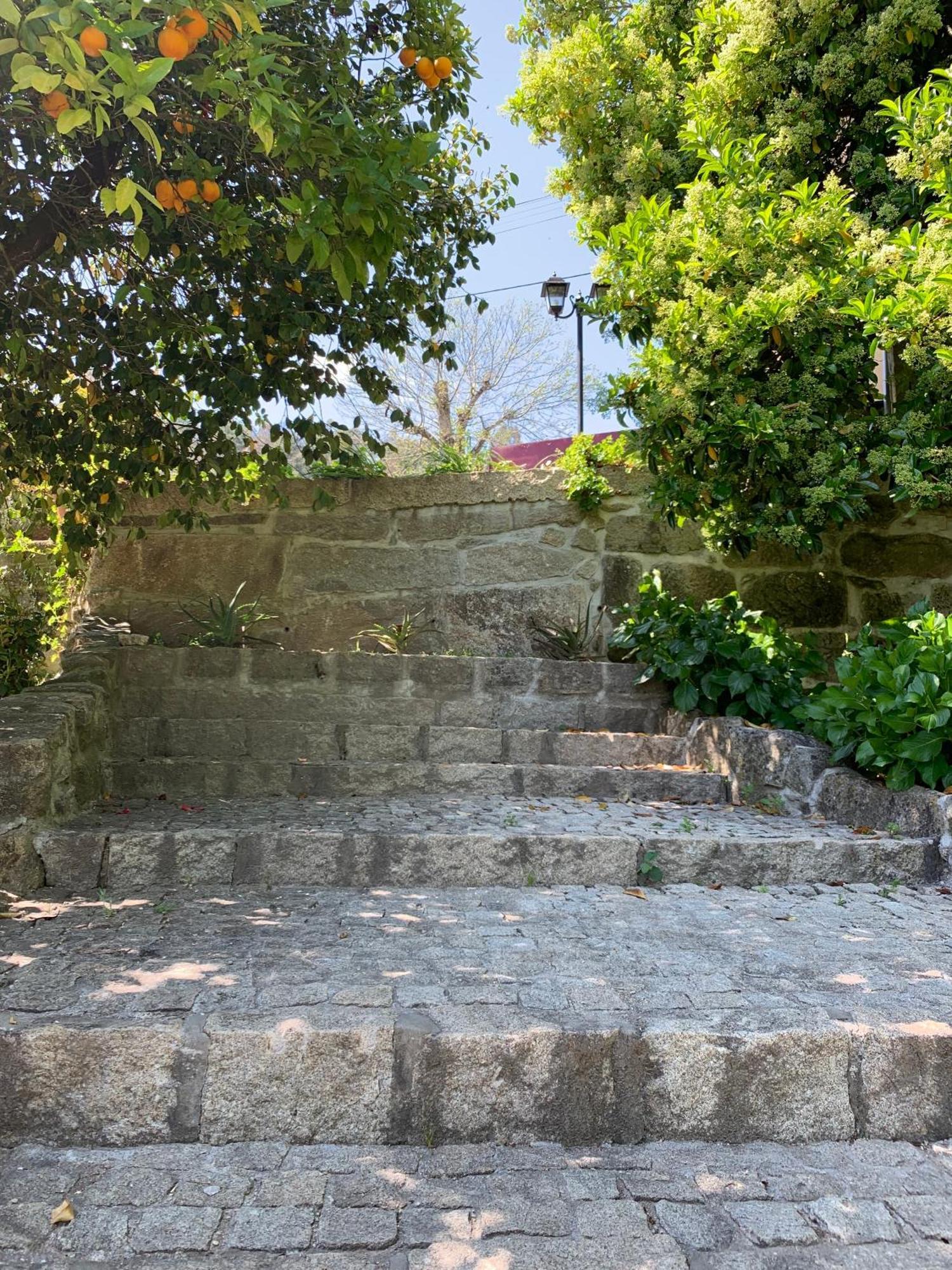 Quinta de Canhões São Pedro do Sul Exterior foto
