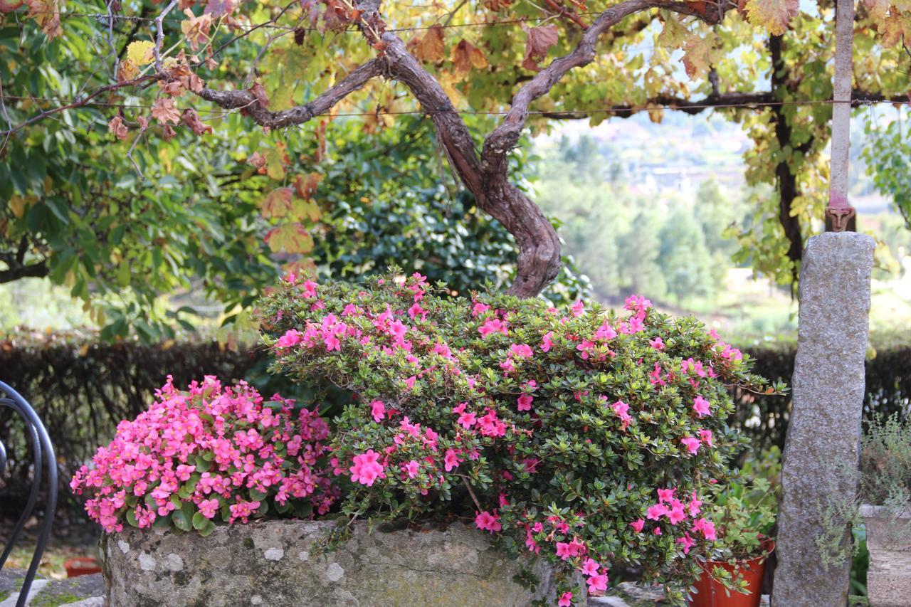 Quinta de Canhões São Pedro do Sul Exterior foto